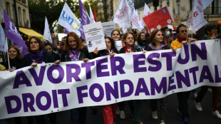 Fran&ccedil;a pode se tornar 1&ordm; pa&iacute;s a garantir constitucionalmente o aborto