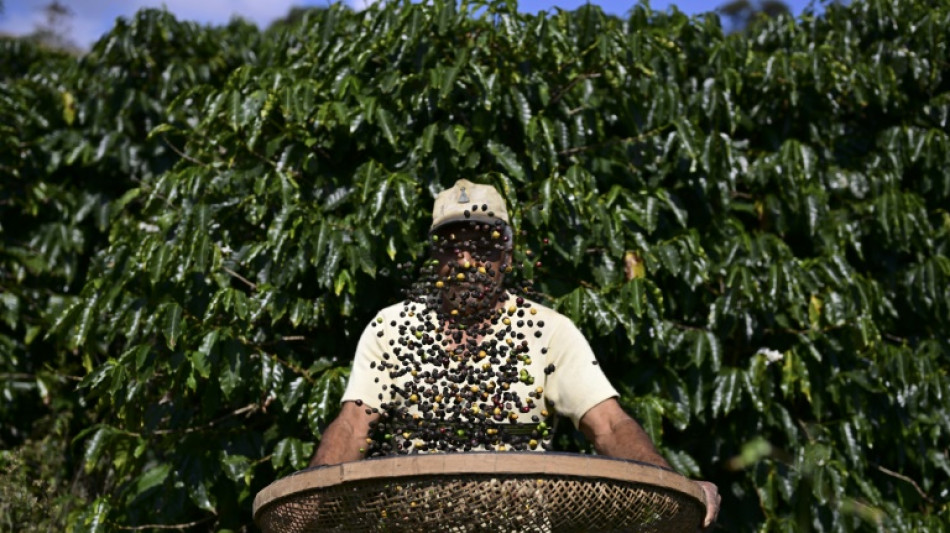 Five products to be hit by Trump's incoming tariffs