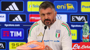 Italia-Israele: Gattuso "dai 10mila allo stadio un atto d'amore"