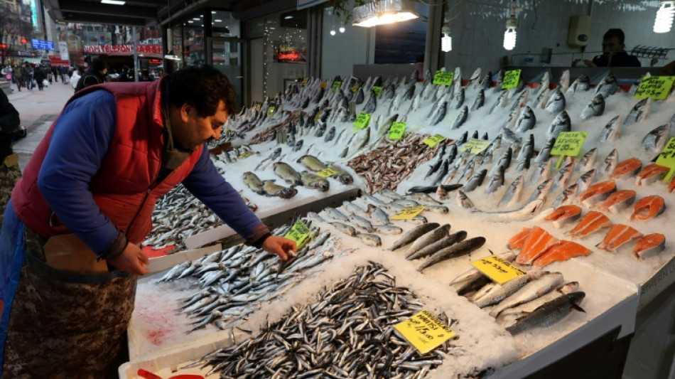 La inflaci&oacute;n en Turqu&iacute;a roza el 50%, la m&aacute;s alta en 20 a&ntilde;os