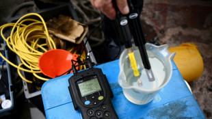 Unbekannte f&auml;rben Wildbach in Oberbayern &uuml;ber hunderte Meter neongr&uuml;n