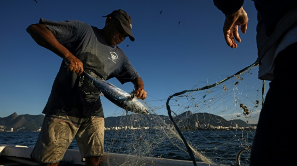 Econom&iacute;a brasile&ntilde;a pierde fuelle en segundo trimestre pero sigue creciendo y sorprende