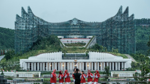 Indonesia's delayed new capital risks 'white elephant' status