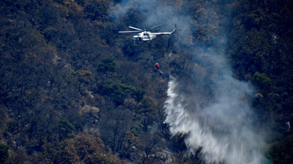 Trois incendies au Mexique touch&eacute; par la s&eacute;cheresse