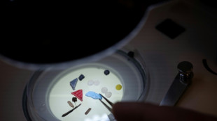 Del Elba al Ebro, los grandes ríos europeos invadidos por los microplásticos