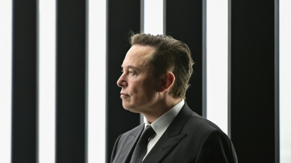 Elon Musk, multiempresario de tecnolog&iacute;a barroco y visionario