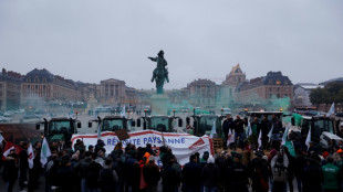 Devant le château de Versailles, une centaine d'agriculteurs alertent contre le Mercosur