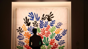 Matisse's last years cut out -- but not pasted -- at Paris expo