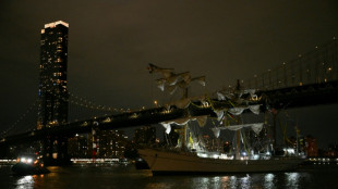 Brooklyn Bridge ship crash kills two people: NYC mayor