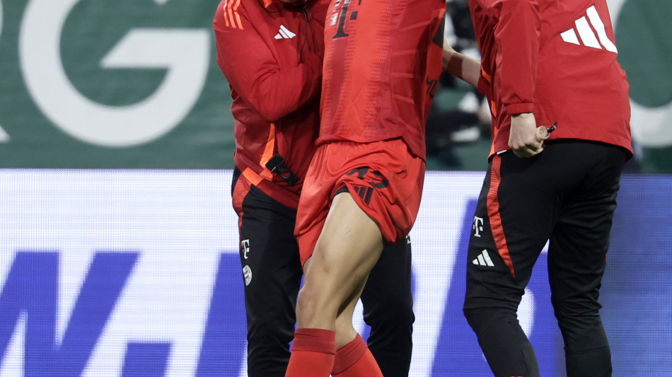 Champions: strappo al muscolo tendineo, Musiala salta l'Inter