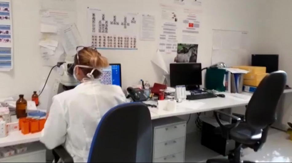 Nel cervello la dopamina può agire come megafono o sussurro