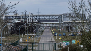 German refinery's plight prompts calls for return of Russian oil