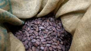 Batteri tra i fattori chiave per il miglior sapore di cioccolato