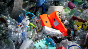 El planeta se plantea en Ginebra el problema de la contaminaci&oacute;n por pl&aacute;sticos