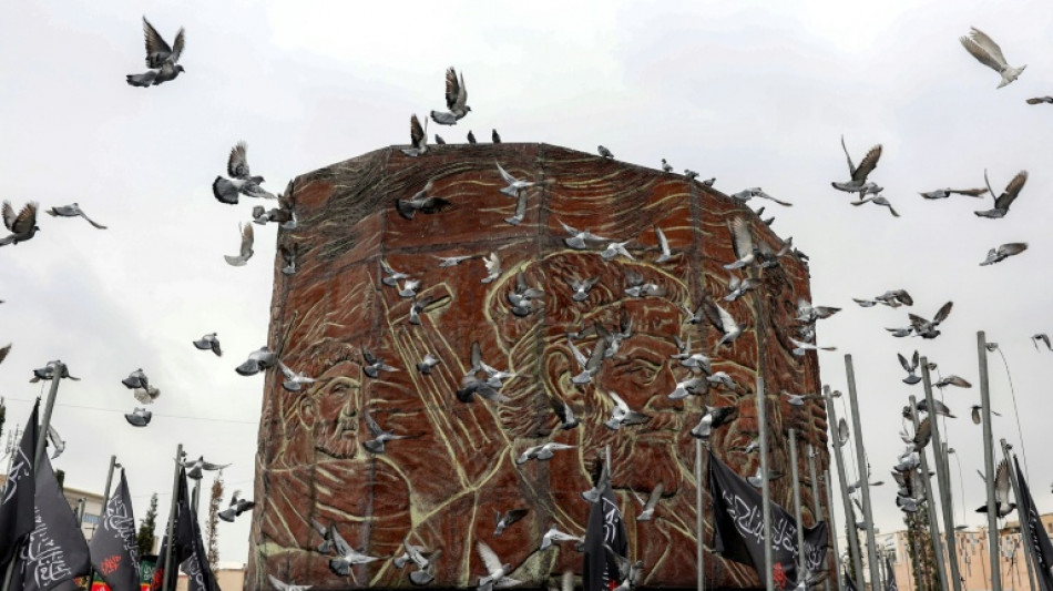 Activistas conectan a los iran&iacute;es a internet a trav&eacute;s de Starlink