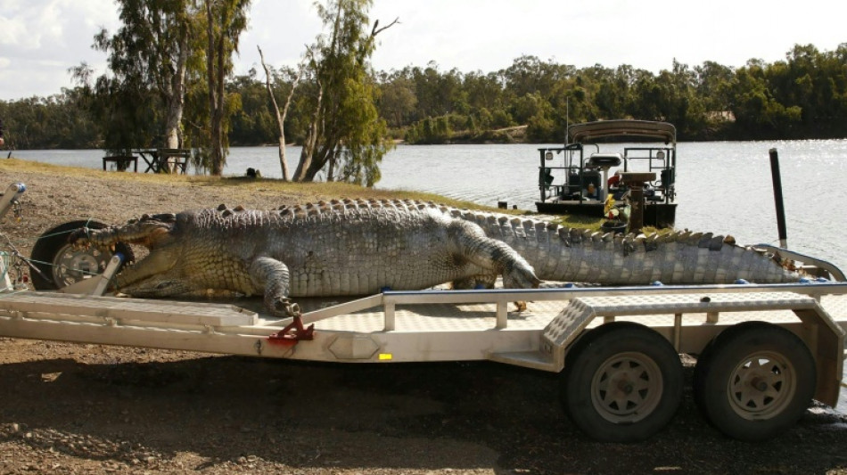 Croc-habitat gets green light for 2032 Olympic rowing 