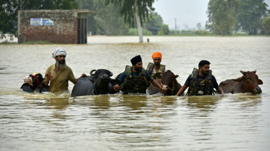 Villages marooned after deadly floods in India's Punjab