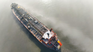 Iran: Assarmatori, massimo livello di sicurezza per le navi nel Golfo Persico