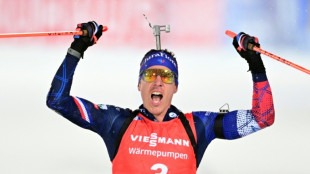 Les Bleus du blanc: Fillon-Maillet brille, retour réussi pour Laffont