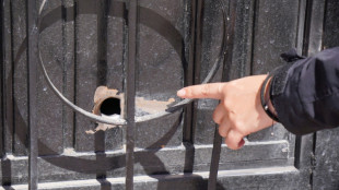 Un ataque armado en un parque infantil en el centro de M&eacute;xico deja un muerto y 8 menores heridos