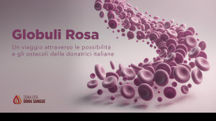 In Italia il 33,7% dei donatori di sangue &egrave; costituito da donne