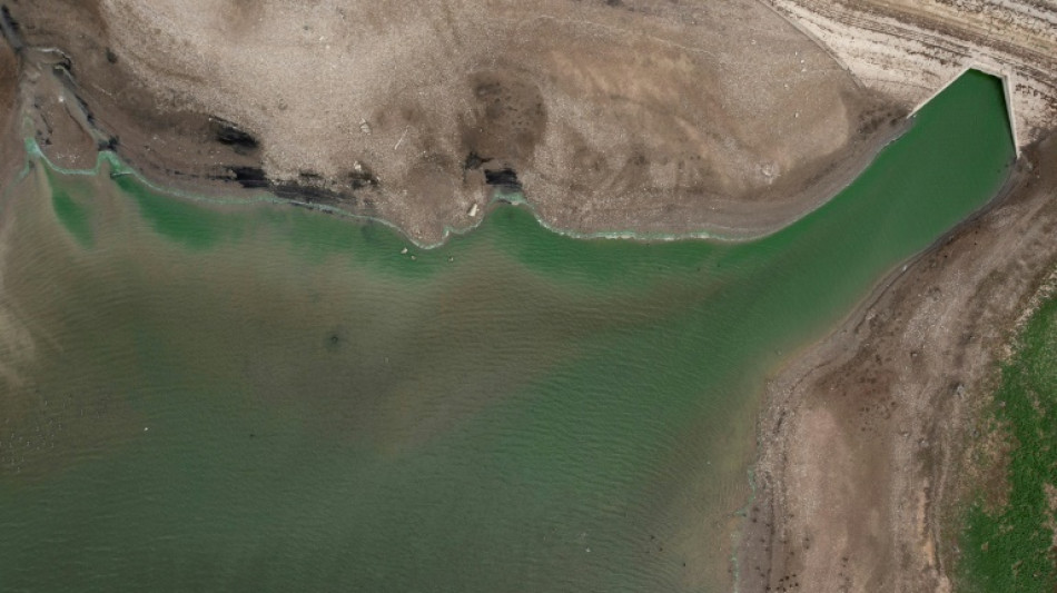 El a&ntilde;o 2022 es el m&aacute;s c&aacute;lido jam&aacute;s registrado en el Reino Unido