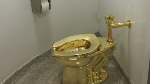 £2.8m gold toilet stolen from UK show never found: court