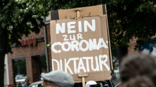 Verfassungssch&uuml;tzer warnen vor Missbrauch von Protesten durch Extremisten