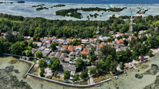 Un autre proc&egrave;s climatique: une &icirc;le indon&eacute;sienne contre le cimentier Holcim