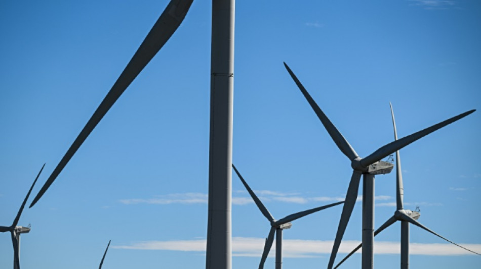 Pour prot&eacute;ger les oiseaux, la justice met &agrave; l'arr&ecirc;t un deuxi&egrave;me parc &eacute;olien en trois jours