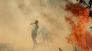 Portugal wildfires claim first victim, as Spain on wildfire alert