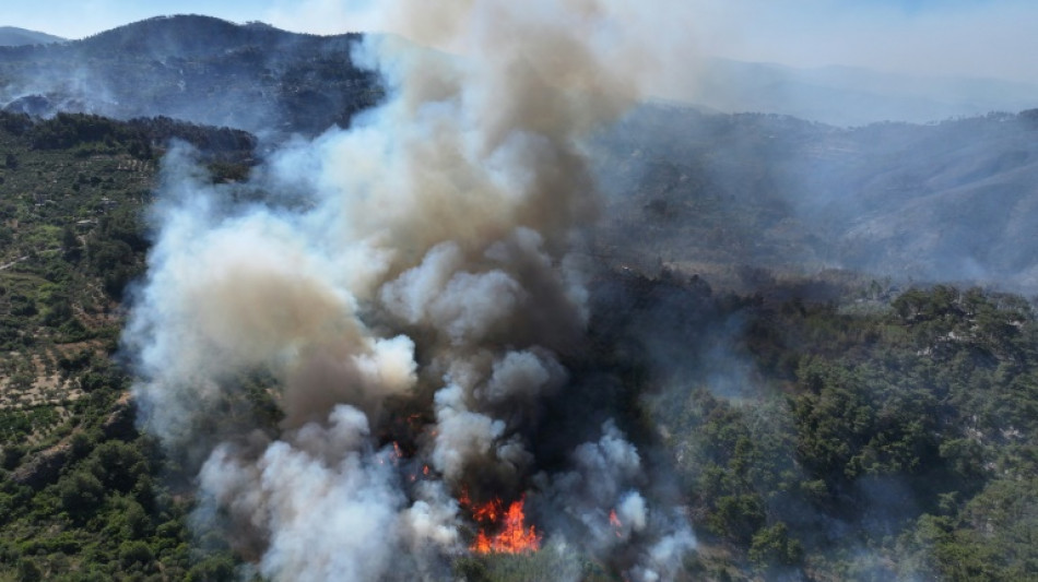Feux de for&ecirc;ts: la Syrie appelle l'UE &agrave; l'aide
