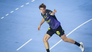 Ligue des champions de hand: Nantes monte sur la troisi&egrave;me marche