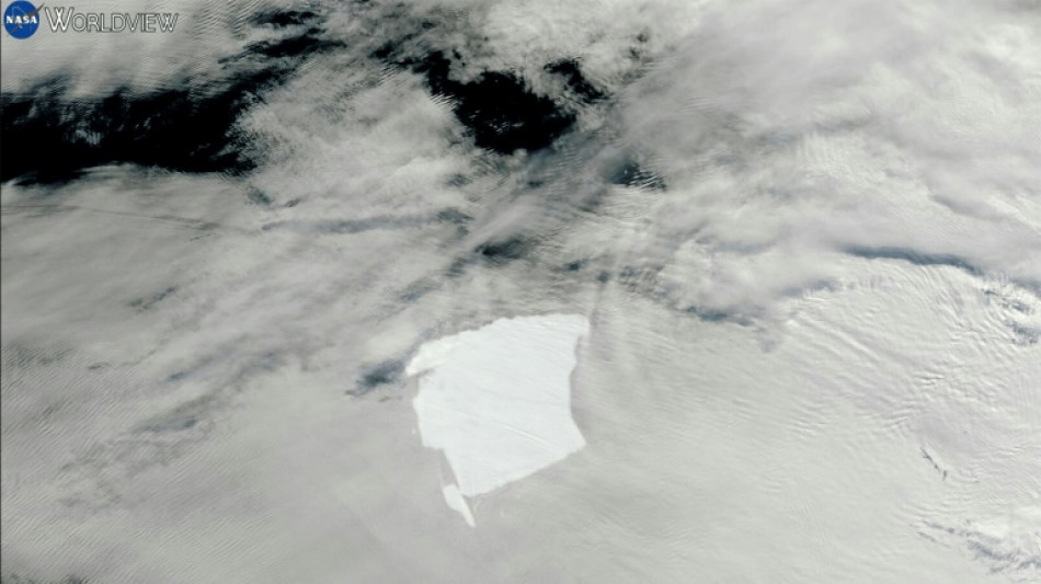 Un fragment de 19 km se d&eacute;tache du plus grand iceberg du monde
