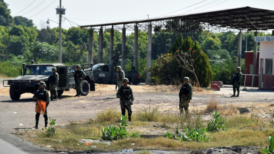 El aguacate mexicano, reh&eacute;n de la violencia narco que arrecia en Michoac&aacute;n