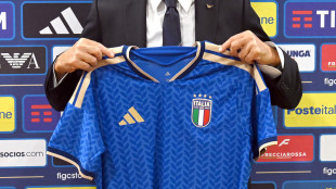 Calcio: azzurri; Mancini, sicuro che nei prossimi 4 anni qualcosa porteremo a casa
