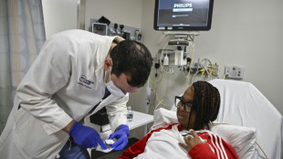 Nouvelle greffe d'un rein de porc sur une patiente am&eacute;ricaine