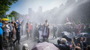 &Uuml;ber 1500 Festnahmen bei Demo von Extinction Rebellion in Den Haag