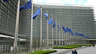 Proveedores de IA deben "poner orden" en sus modelos, advierte la UE