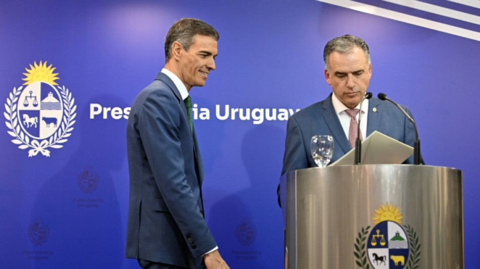 S&aacute;nchez destaca "necesidad imperiosa" de concretar acuerdo UE-Mercosur ante guerra comercial