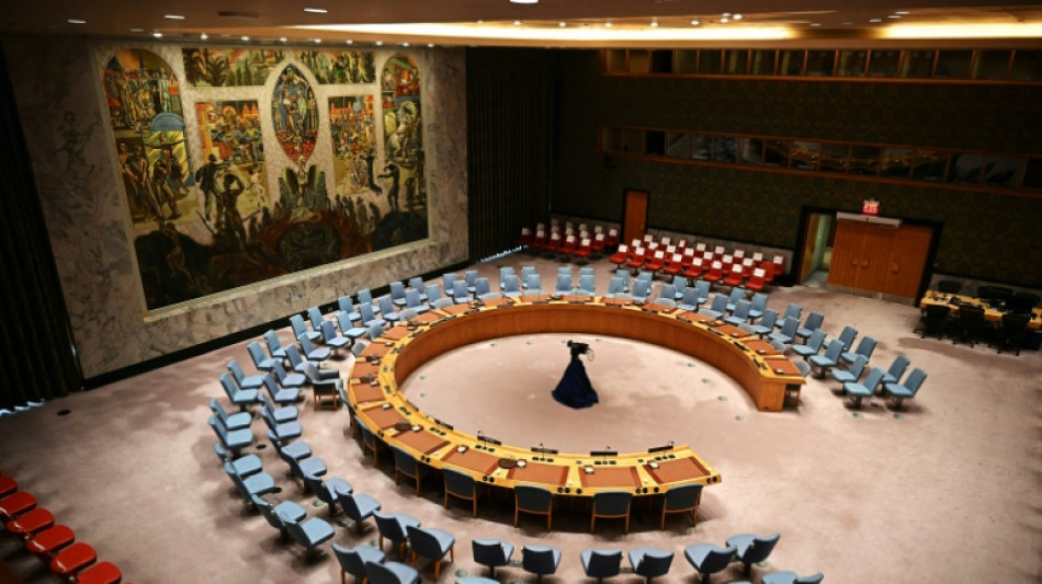 Ha&iuml;ti: le Conseil de s&eacute;curit&eacute; de l'ONU approuve une nouvelle force antigang plus robuste