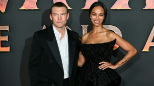 Third 'Avatar' film soars to top in N. American box office debut