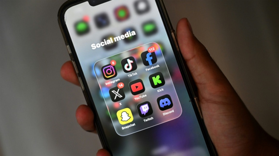 V&eacute;rification de l'&acirc;ge des internautes: les g&eacute;ants de la tech se renvoient la balle