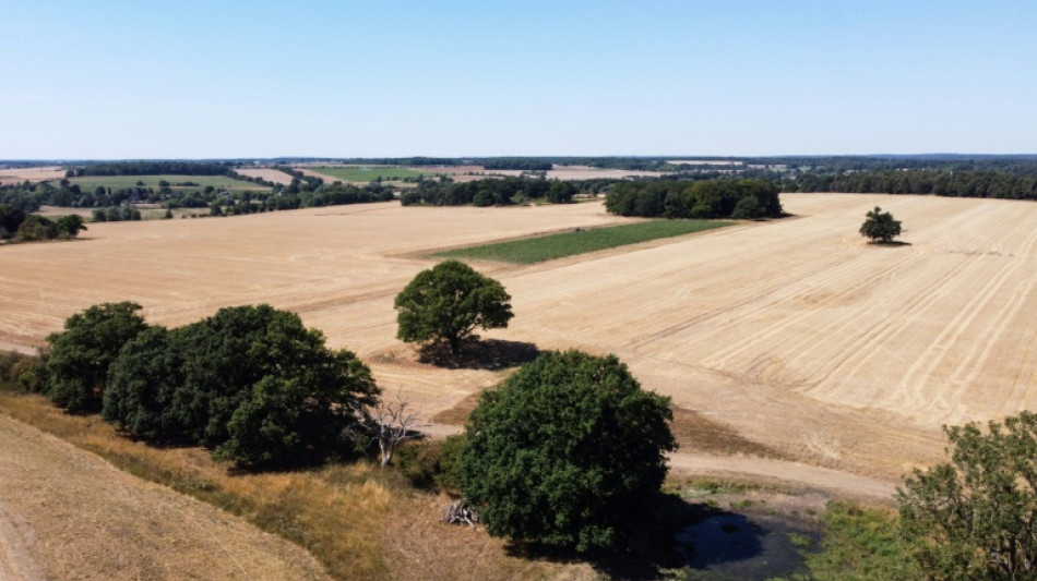 Buena parte de Inglaterra declarada en estado de sequ&iacute;a