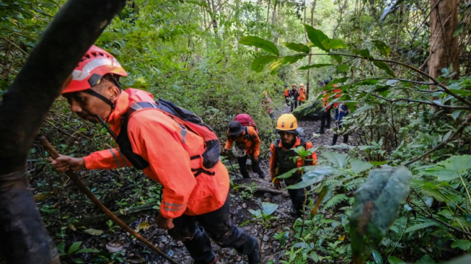 Indonesian rescuers find debris from missing plane