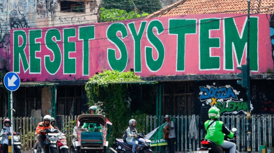 'Pink and green' protests call for a reset in Indonesia