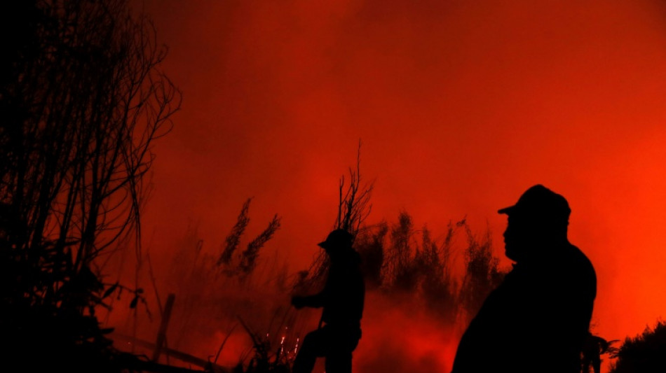 Incendies au Chili: arriv&eacute;e de l'aide internationale