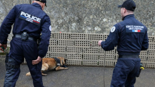 Los perros rastreadores, un recurso codiciado de cara a los Juegos Olímpicos