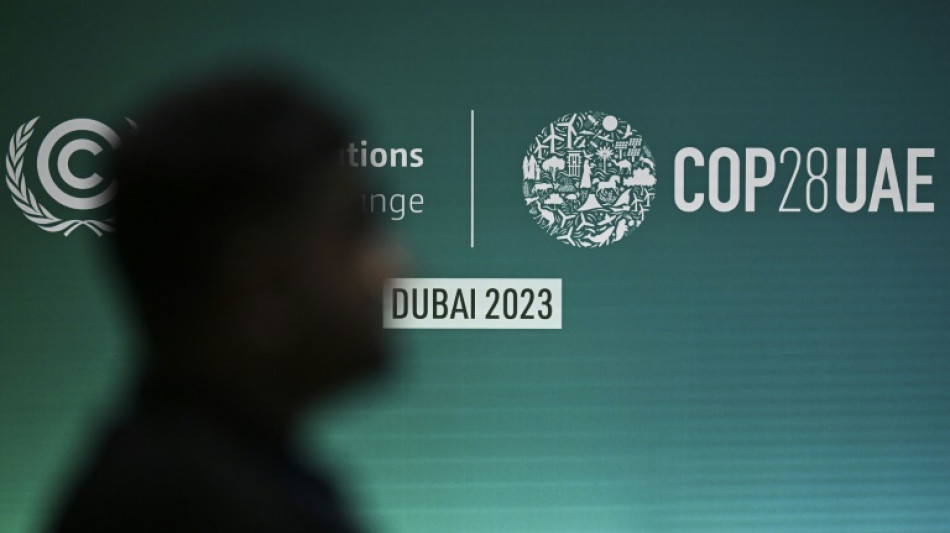 Bundesregierung weist Kritik an Gr&ouml;&szlig;e der Delegation f&uuml;r Klimagipfel zur&uuml;ck