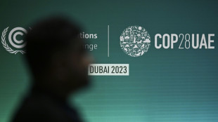 Bundesregierung weist Kritik an Gr&ouml;&szlig;e der Delegation f&uuml;r Klimagipfel zur&uuml;ck